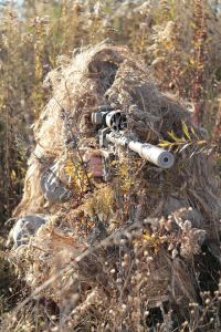 a7768d06aefc4afb25e591c76b8cd914