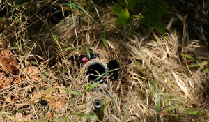 Tactical Concealment