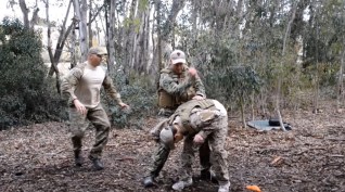 cqb-mp4_snapshot_00-03_2017-01-02_19-57-34